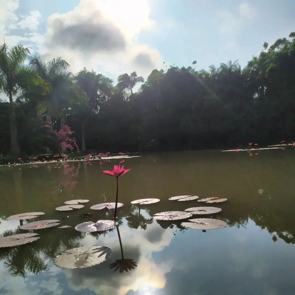 Fotos: Andreia da Rosa