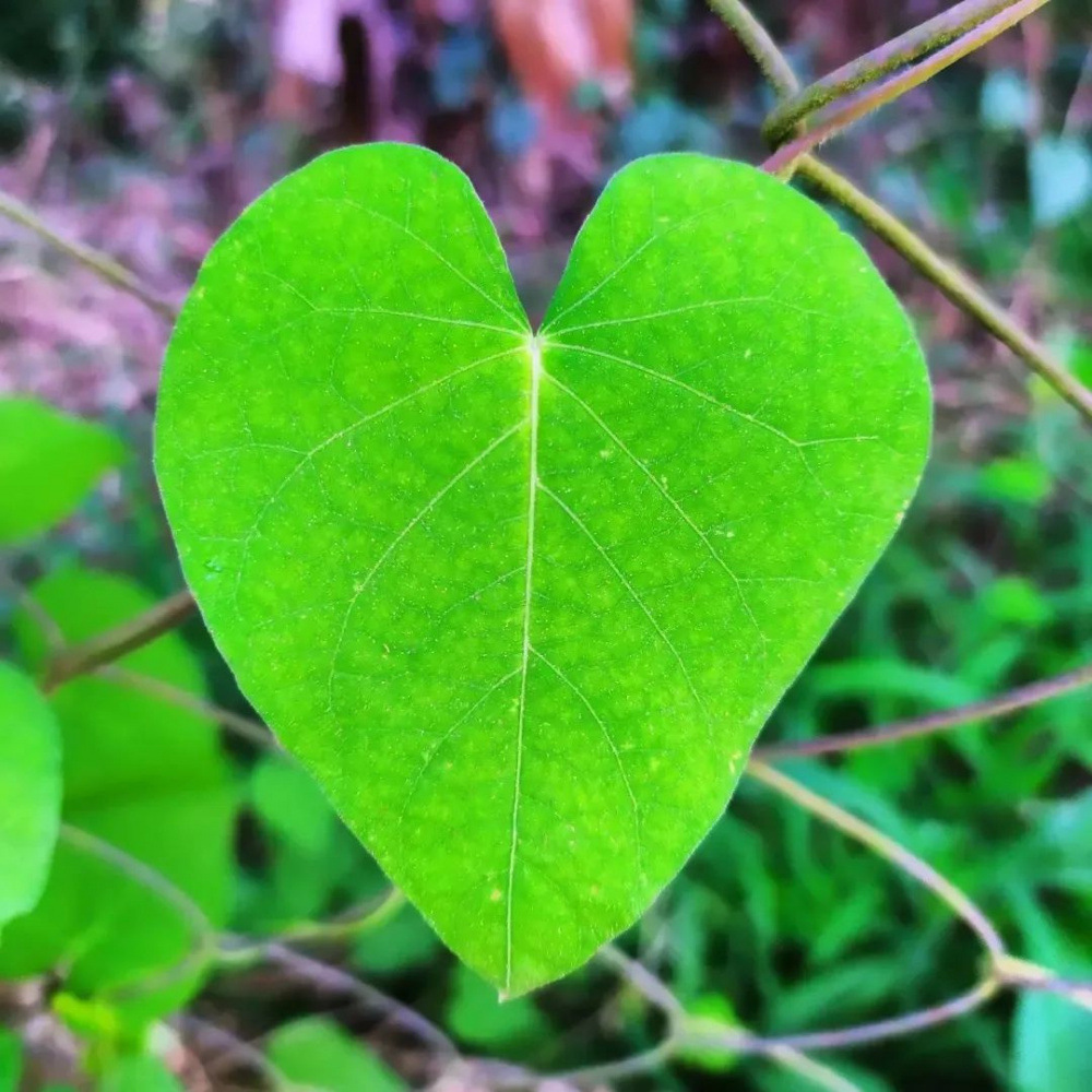 Fotos: Andreia da Rosa