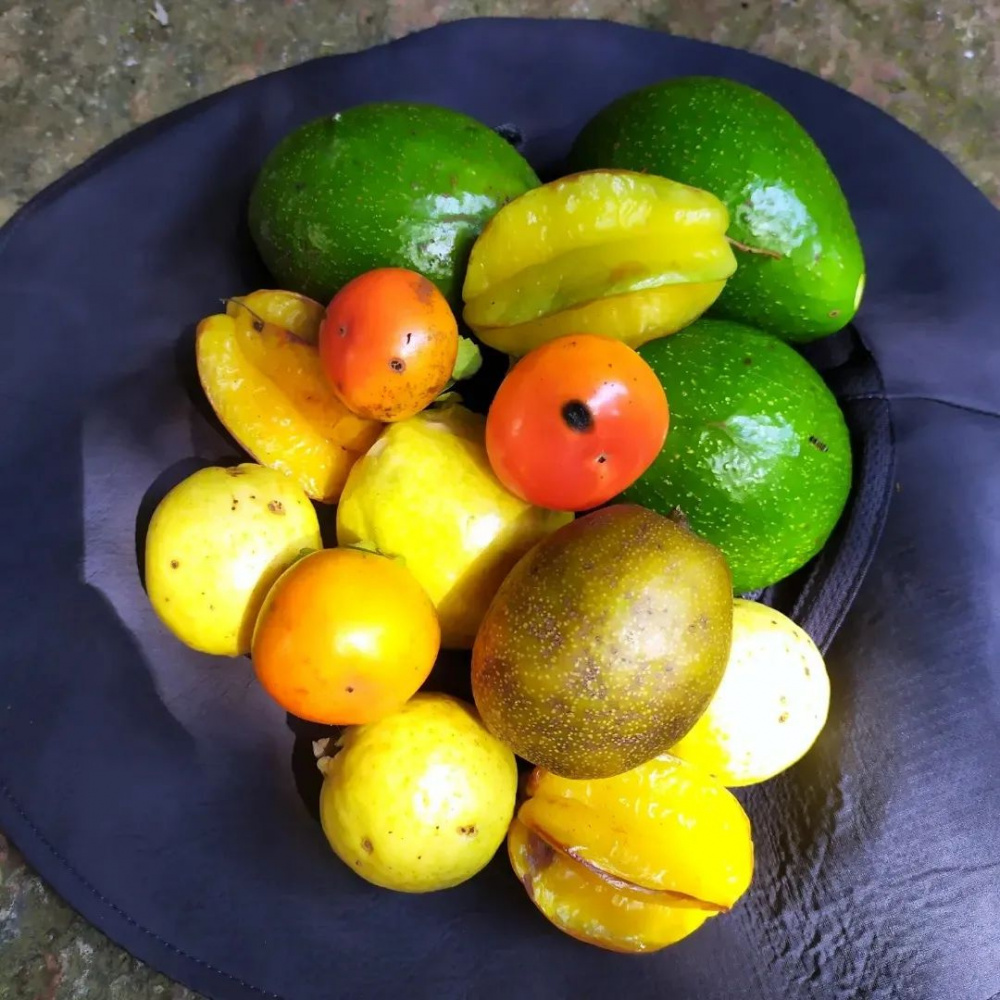 Fotos: Andreia da Rosa